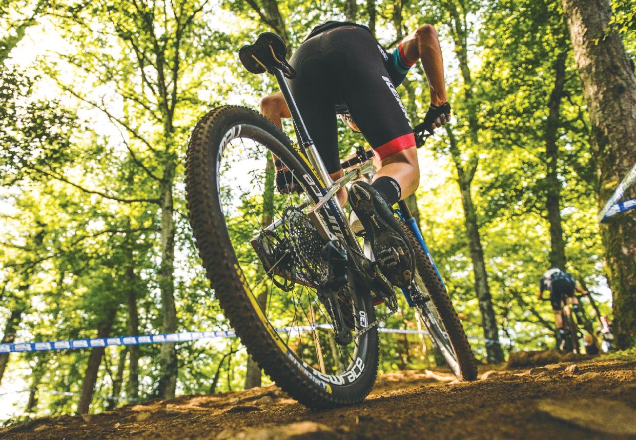 Todson | 80 Years of Cycling Excellence