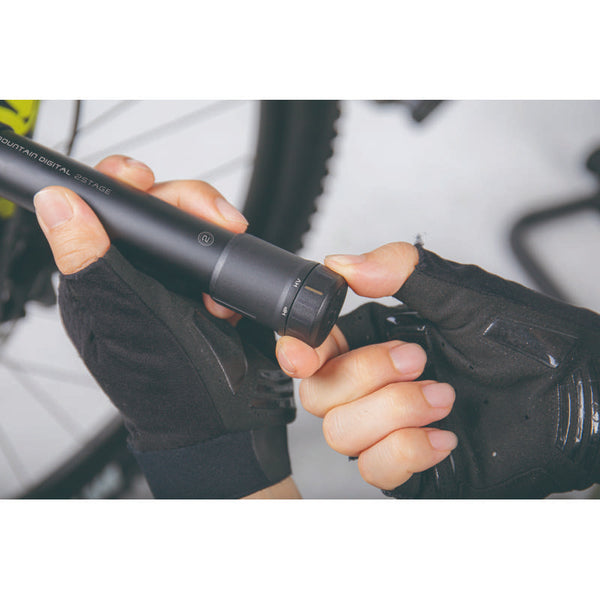 Mountain Digital 2Stage