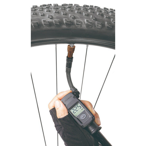 Mountain Digital 2Stage