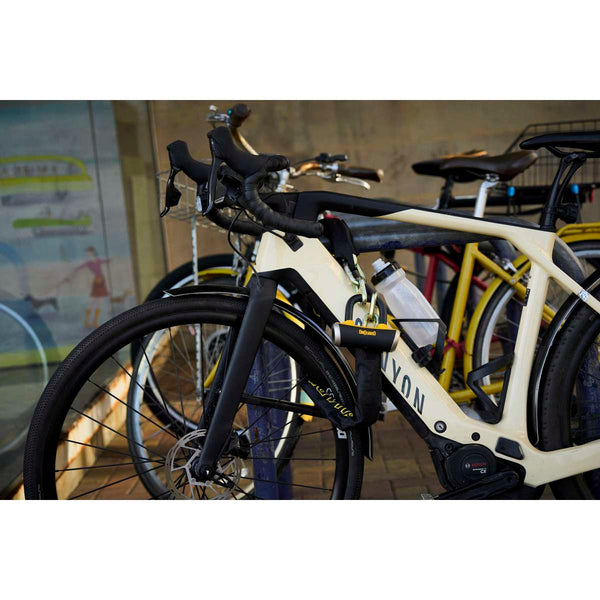 Mastiff 3.5' Chain with X4 Padlock