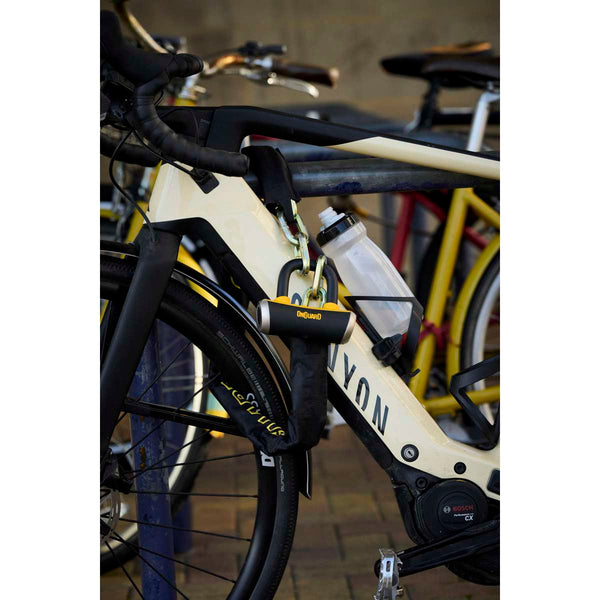 Mastiff 3.5' Chain with X4 Padlock