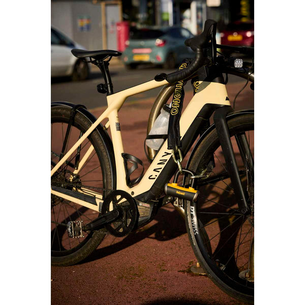 Mastiff 3.5' Chain with X4 Padlock