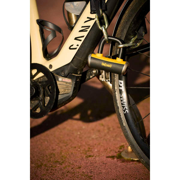 Mastiff 3.5' Chain with X4 Padlock