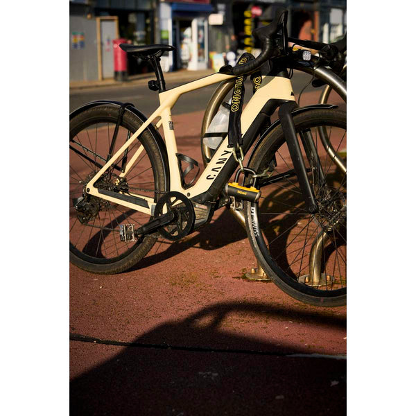 Mastiff 3.5' Chain with X4 Padlock