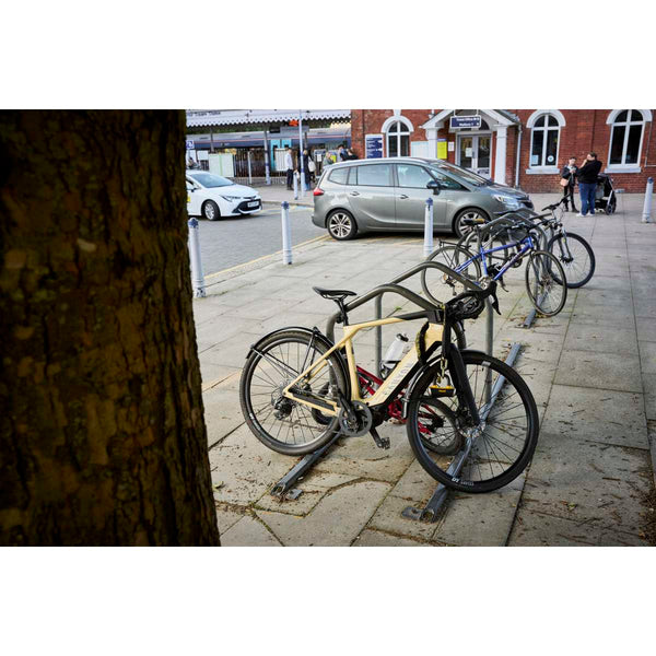 Mastiff 3.5' Chain with X4 Padlock