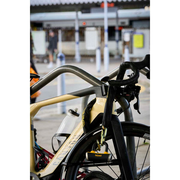 Mastiff 3.5' Chain with X4 Padlock