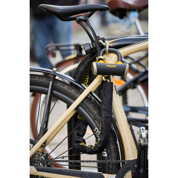 Mastiff 3.5' Chain with X4 Padlock