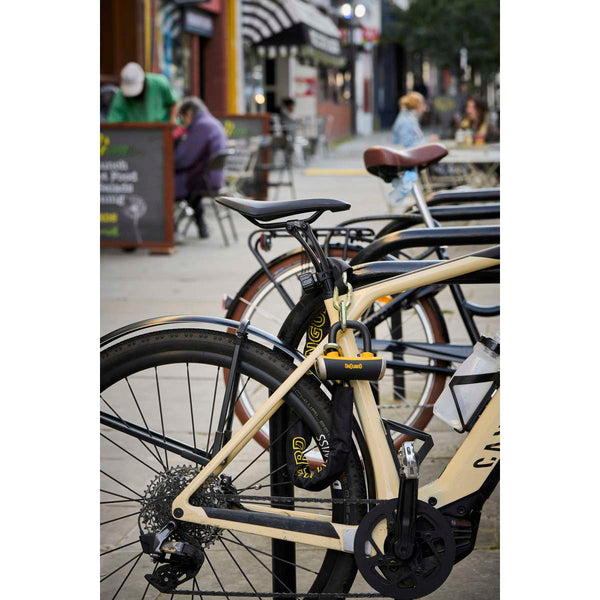 Mastiff 3.5' Chain with X4 Padlock