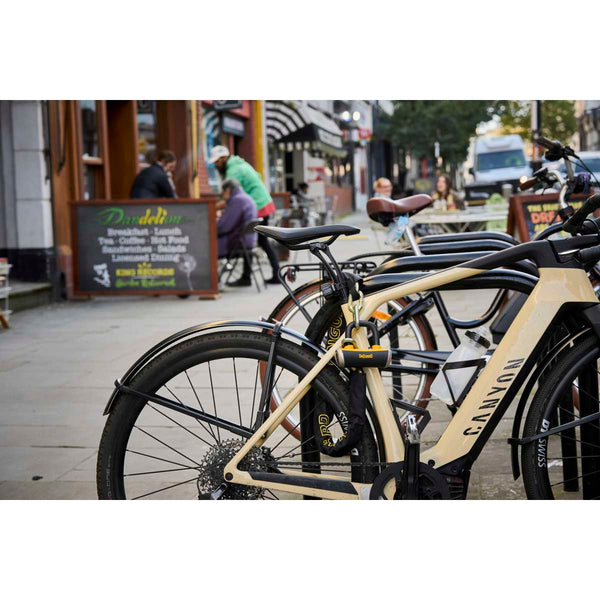 Mastiff 3.5' Chain with X4 Padlock