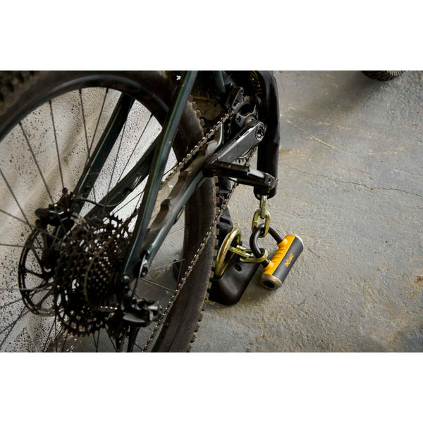 Mastiff 3.5' Chain with X4 Padlock