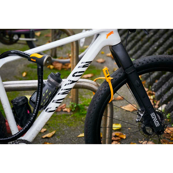 Rottweiler 4' Armored Key Cable Lock