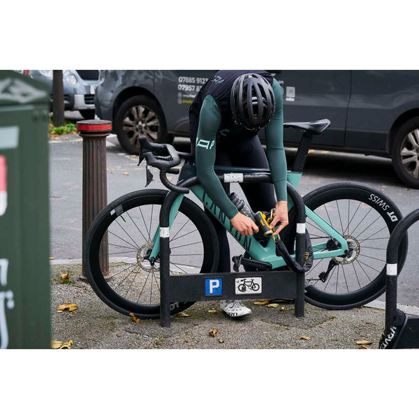 Mastiff 3.5' Chain with X4 Padlock