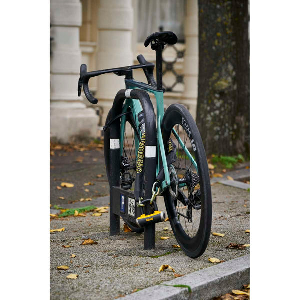 Mastiff 3.5' Chain with X4 Padlock