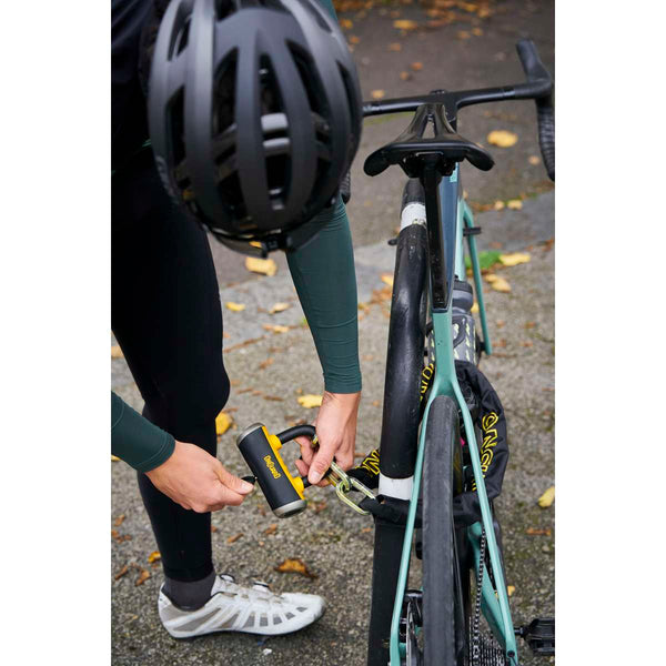 Mastiff 3.5' Chain with X4 Padlock