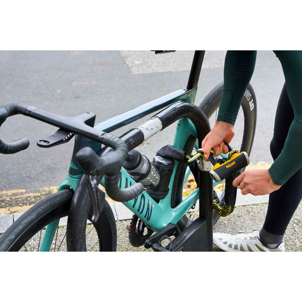 Mastiff 3.5' Chain with X4 Padlock